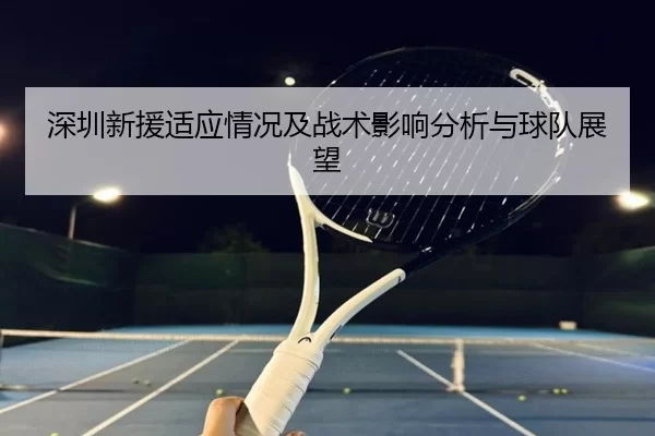 深圳新援适应情况及战术影响分析与球队展望